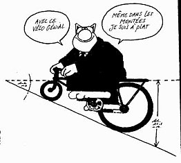 velo du chat
