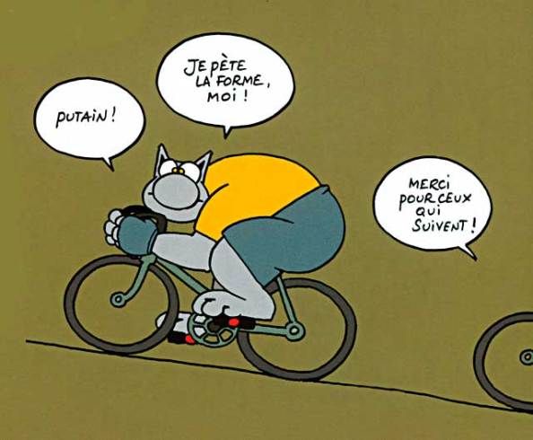 le_chat_velo