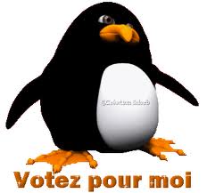 Sortie de crise : le rapport de l’OIF et les élections …