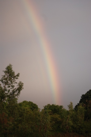 Arc en ciel sud vert