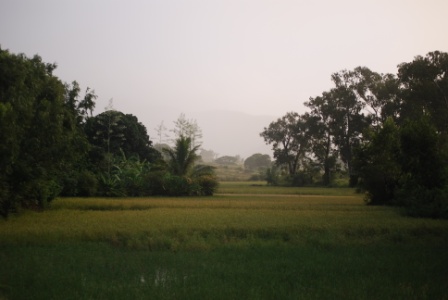 sud vert compressé