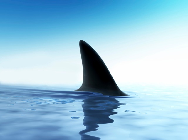 Demokrasia et Les Grands Entreprendreurs&nbsp;…