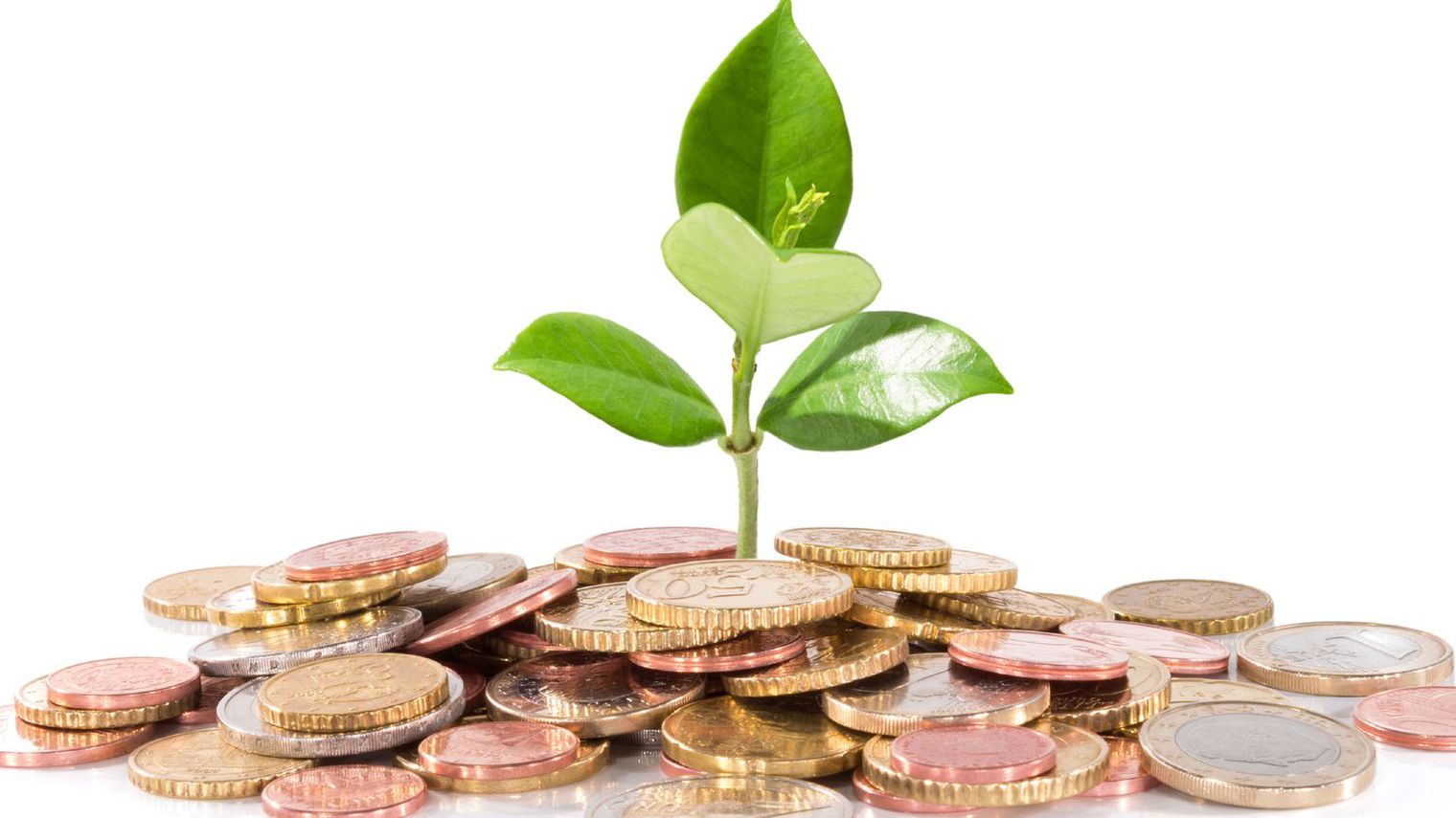 fonds-d-investissement-argent-financement_5212095