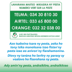 UNCT-MG-AffichePeste3-2016