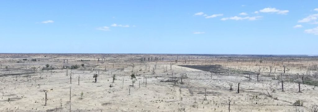 Les docs de Ragidro : Décryptage – Migrations internes, Déforestation, Trafics d&rsquo;influence (Maïs et brulis dans le Menabe, par Mongabay&nbsp;France)